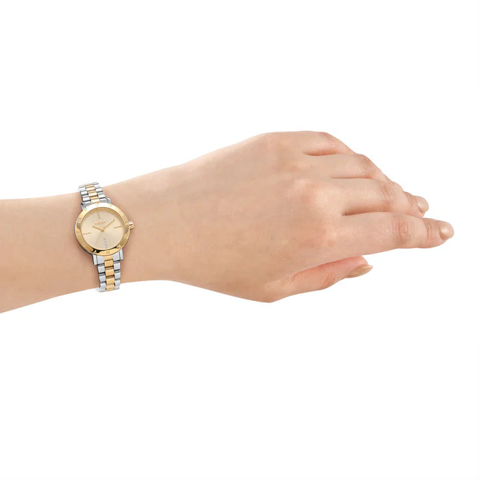 DKNY Ladies Essentials Watch (DK1L165M0085) | Watches | NEW | WOMEN DKNY Ladies Essentials Watch (DK1L165M0085) | Watches | NEW | WOMEN