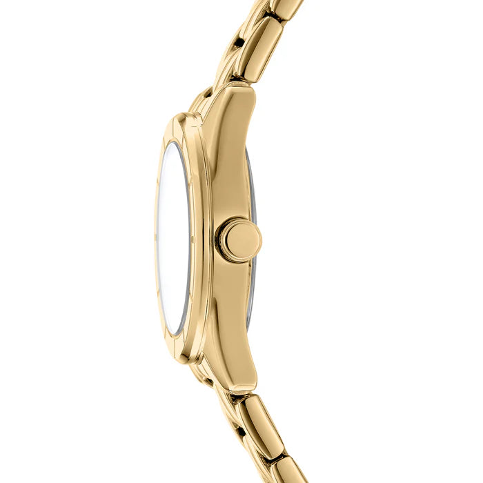 DKNY Ladies Evening Watch (DK1L169M0225) | Watches | NEW | WOMEN DKNY Ladies Evening Watch (DK1L169M0225) | Watches | NEW | WOMEN