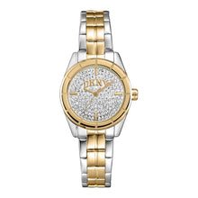 Load image into Gallery viewer, DKNY Ladies Evening Watch (DK1L169M0245)
