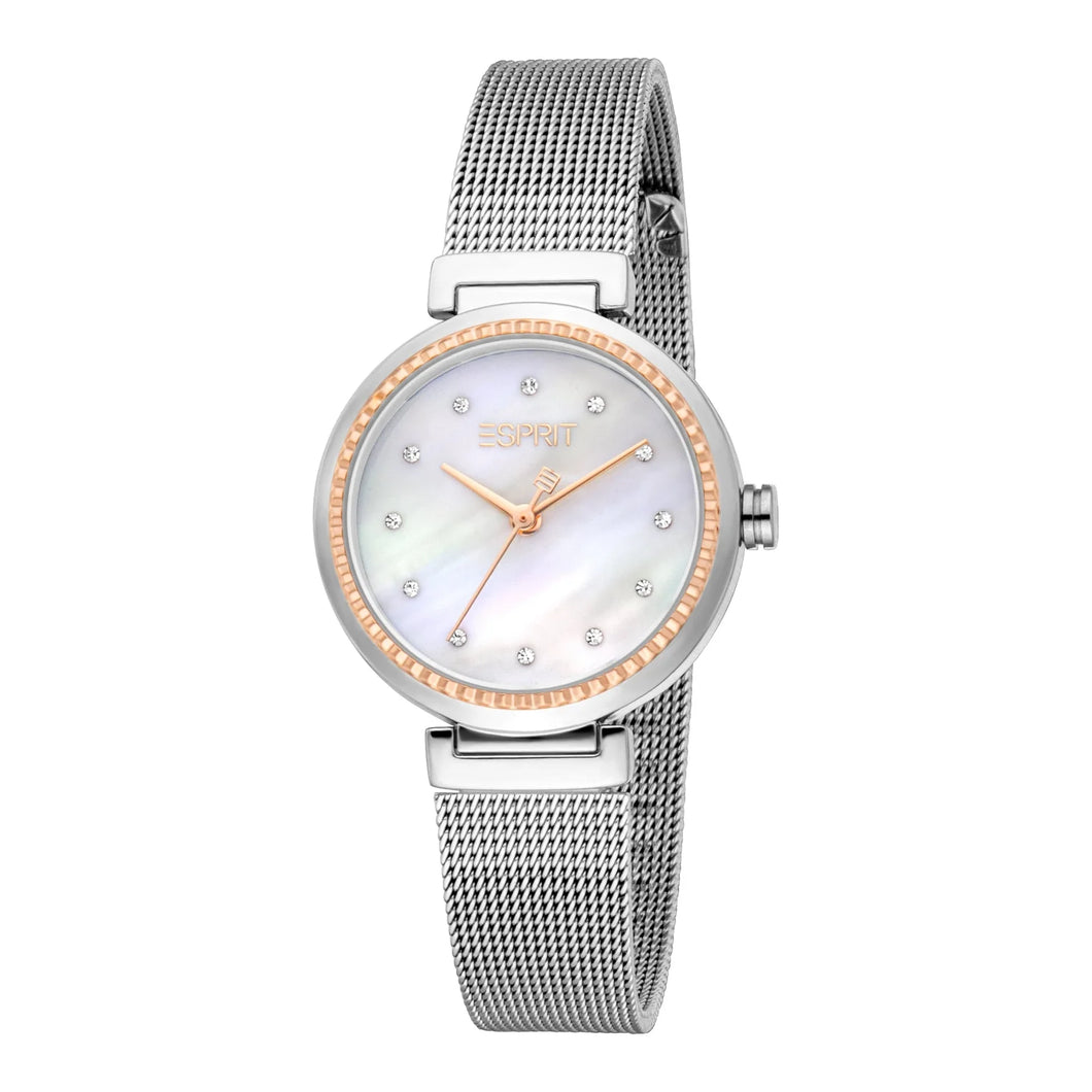 ESPRIT Ladies Leslie Mesh Watch (ES1L506M0255)